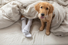 ALOHA Logo Crew Socks in White